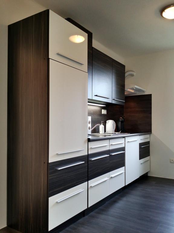 Apartman U Labe Нимбурк Номер фото
